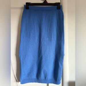 Elegant Blue Women's Skirt